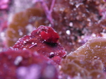 M0010332.JPG