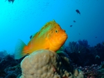 2009_1115富戸0121.JPG