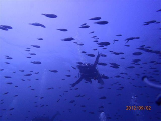 image-20130108143051.png