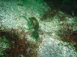 2009.07.9-13 033.jpg