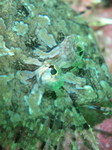 IMG_5849.jpg