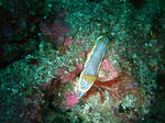 DSCF2415.JPG