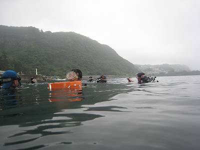 IMG_8949.jpg