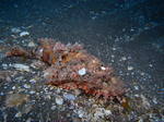 M0010255.JPG