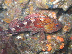 M0010760.JPG