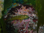 M0011513.JPG