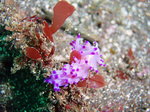 PIC_0547.JPG