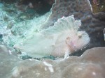20090710175502.jpg