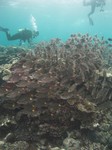 20090711141637.jpg