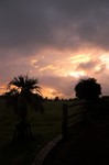 20090712192935.jpg