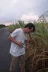 20090712193523.jpg