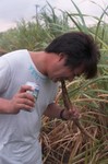 20090712193534.jpg