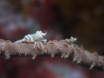 20090710172742.jpg