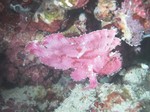 20090710175312.jpg
