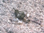 20090713110140.jpg