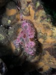 20090713133645.jpg