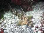 20090713153924.jpg