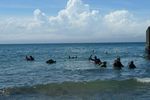P1000521.JPG