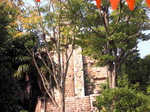 D_Sea-matu-06.jpg
