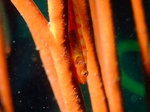Rs[ 〜 2011_091712.JPG