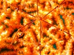 Rs[ 〜 2011_091704.JPG