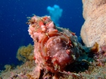 Rs[ 〜 2011_1204吣0006.JPG