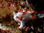 Rs[ 〜 2011_1204吣0019.JPG