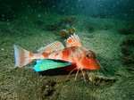 Rs[ ` 2012_0519吣0022.JPG